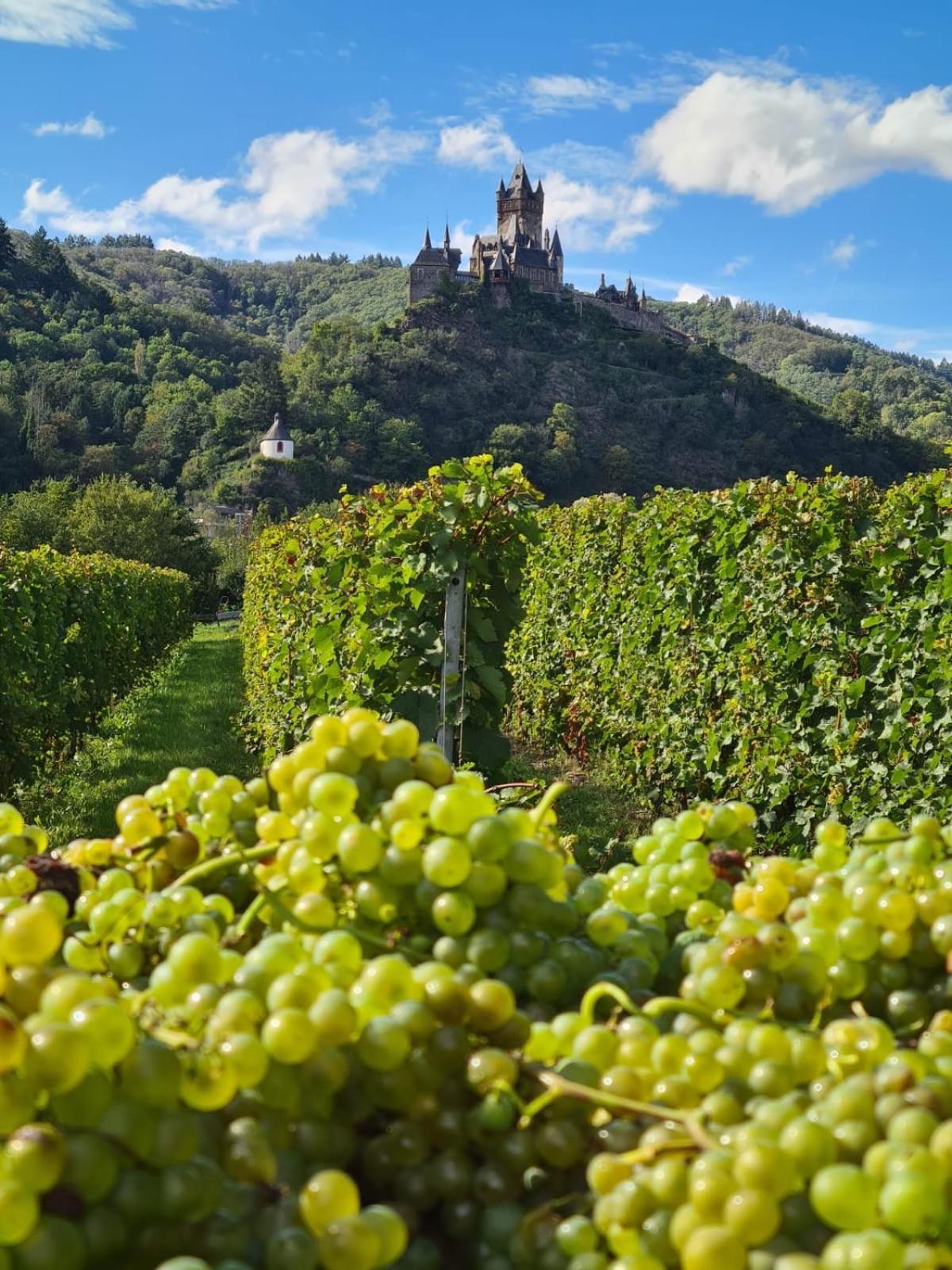 Weingut Gästehaus Bach Cochem Exterior foto